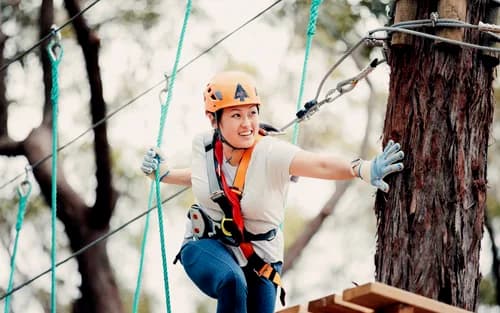 Tree Ropes Course in Western Sydney — high-ropes adventure through the canopy