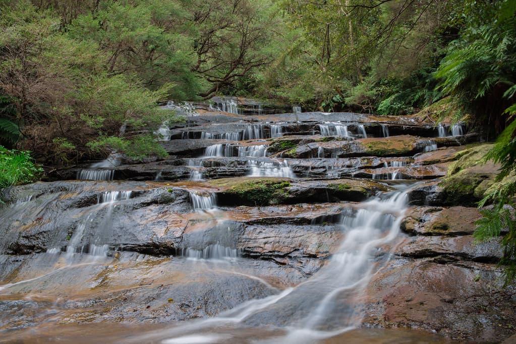 Lush waterfall and forest scenery on a day trip through the NSW Highlands