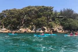 Guided Kayak Tour of Manly Cove Beaches