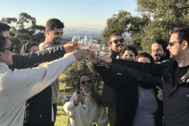 Hunter Valley Wine Tasting & Winery Picnic Tour