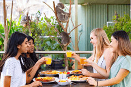 Breakfast with Koalas at WILD LIFE Zoo Darling Harbour