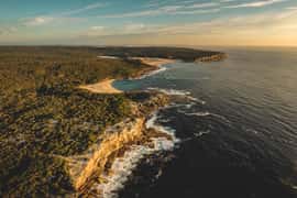 Royal National Park Coastal Hike, Rainforest, Picnic