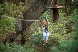 Central Coast Treetops Adventure Tree Ropes Course