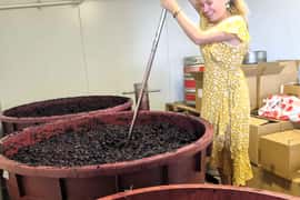 Hunter Valley Wine, Gin & Food Tastings Tour