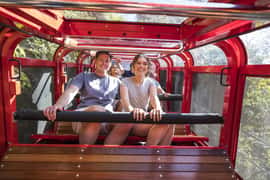 Blue Mountains, Scenic World rides & Sydney Zoo from Sydney