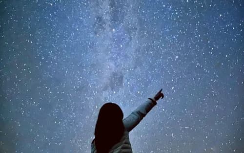 Blue Mountains Stargazing with Korean Guide and Featherdale Small Group Tour