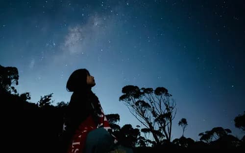 Blue Mountain Sunset & Stargazing tour with Featherdale Zoo