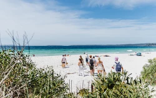 Jervis Bay Beach, Kangaroos and Koalas Day Tour