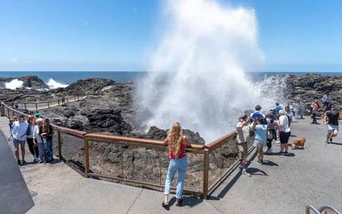 One-day tour to Wolonggang Kiama Blowhole and Kangaroo Valley (Chinese & English)