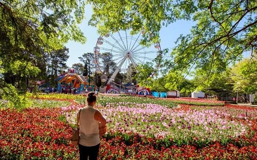 Canberra Floriade Flower Festival Day Tour